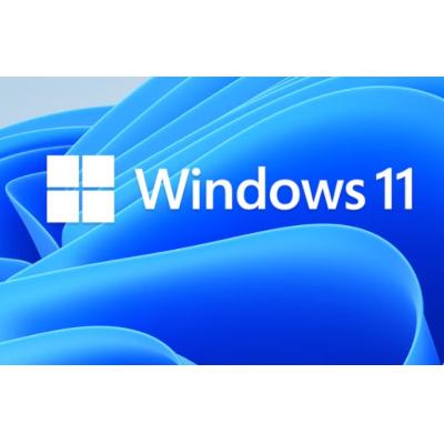 微软软件 Windows 11专业版 64位